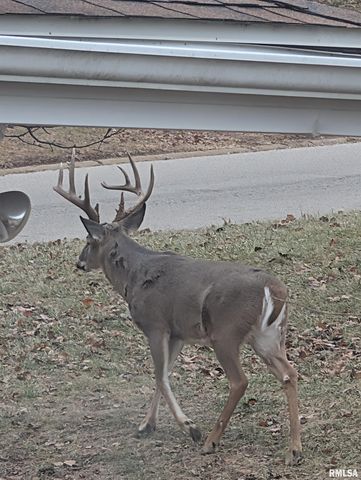 200 LASALLE Boulevard, Marquette Heights, IL 61554