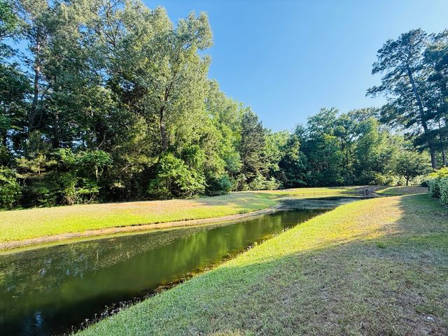 1439 Roustabout Way, Charleston, SC 29414