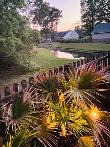 1439 Roustabout Way, Charleston, SC 29414