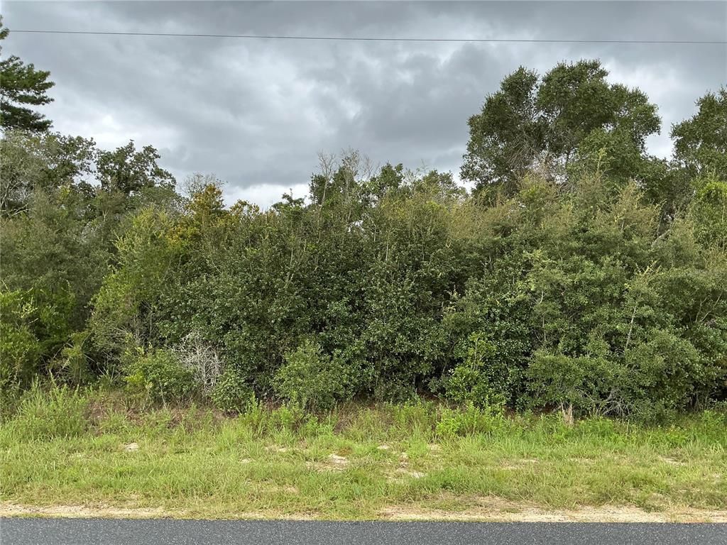 0 SW 110TH STREET, Ocala, FL 34476
