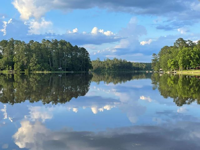 251 County Road, Goodrich, TX 77335