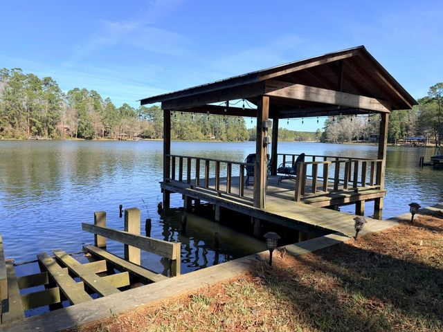 251 County Road, Goodrich, TX 77335