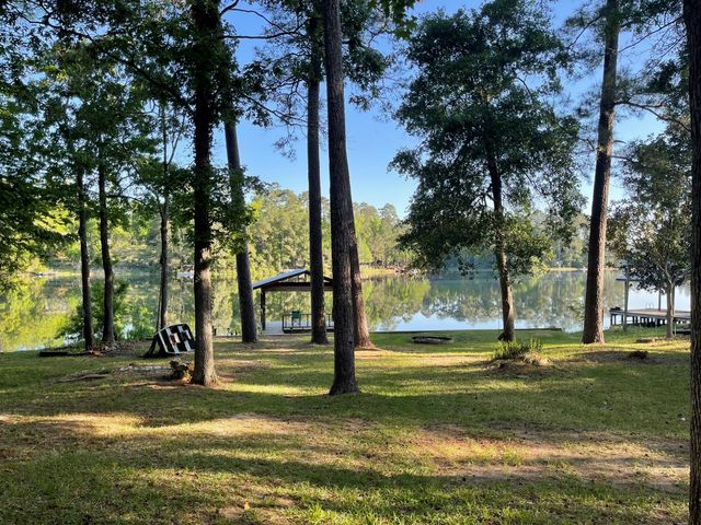 251 County Road, Goodrich, TX 77335