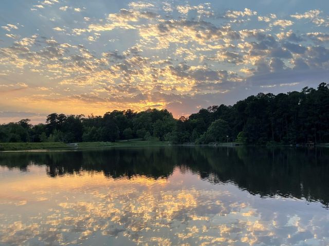 251 County Road, Goodrich, TX 77335