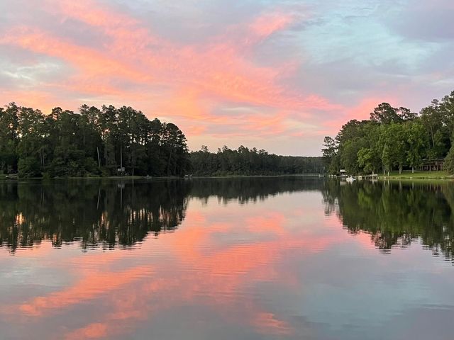 251 County Road, Goodrich, TX 77335