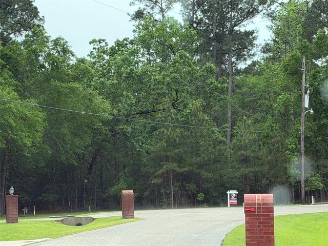 TBD Agassi Court, Magnolia, TX 77354