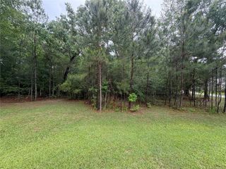 TBD Agassi Court, Magnolia, TX 77354