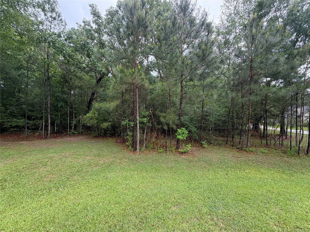 TBD Agassi Court, Magnolia, TX 77354