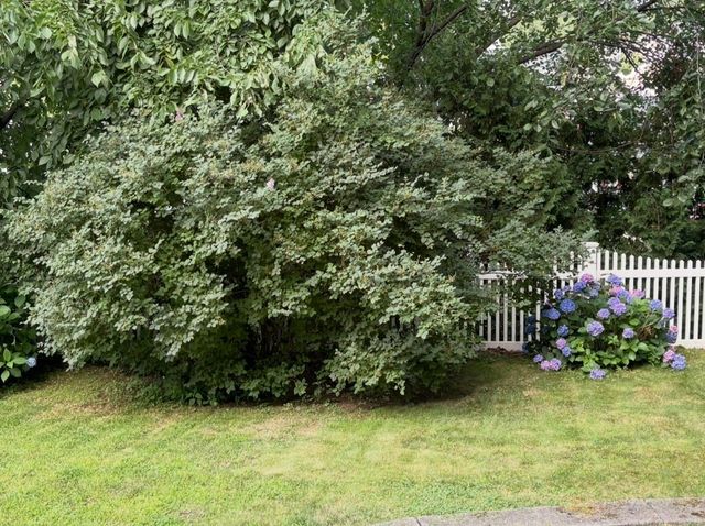 103 Eastwood Circuit, Boston, MA 02132