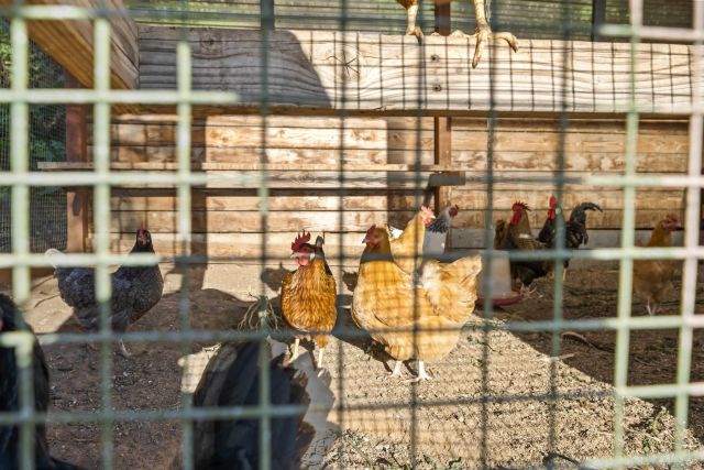 16951 Old Coach Rd, Poway, CA 92064