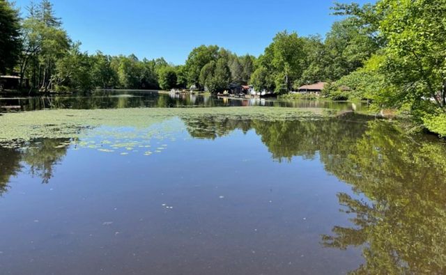 210 Kingwood Dr, Sparta, TN 38583