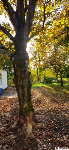 262 Temple Street, Pomfret, NY 14063