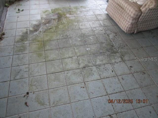 17849 MORNINGHIGH DRIVE, Lutz, FL 33549