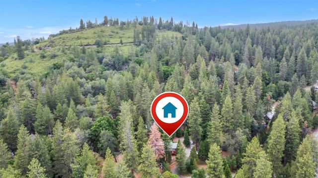 17694 Stella Ct, Pioneer, CA 95666