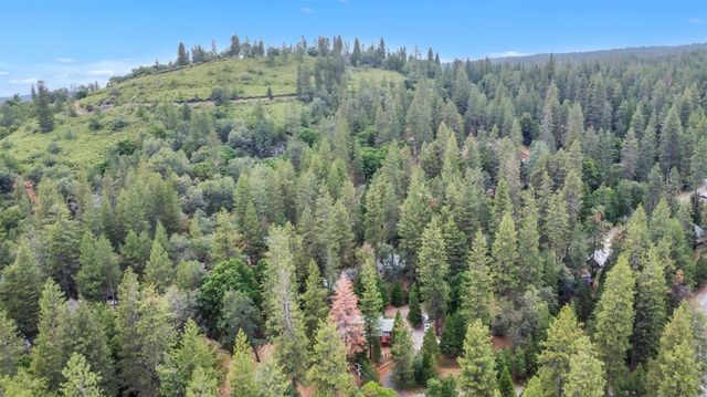 17694 Stella Ct, Pioneer, CA 95666