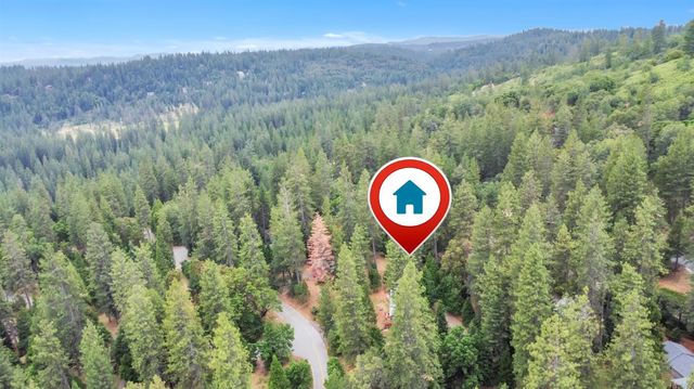 17694 Stella Ct, Pioneer, CA 95666