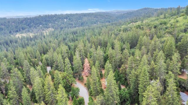 17694 Stella Ct, Pioneer, CA 95666