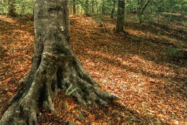 00 Hancock Mountain Trl, Waleska, GA 30183
