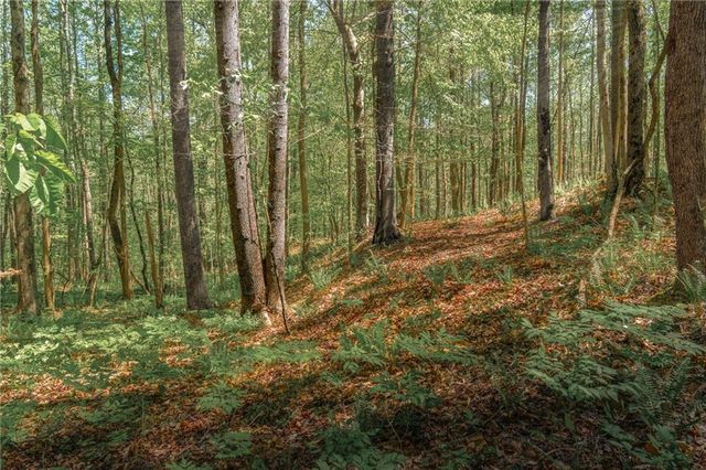 00 Hancock Mountain Trl, Waleska, GA 30183