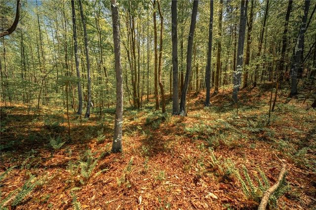 00 Hancock Mountain Trl, Waleska, GA 30183