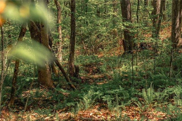 00 Hancock Mountain Trl, Waleska, GA 30183