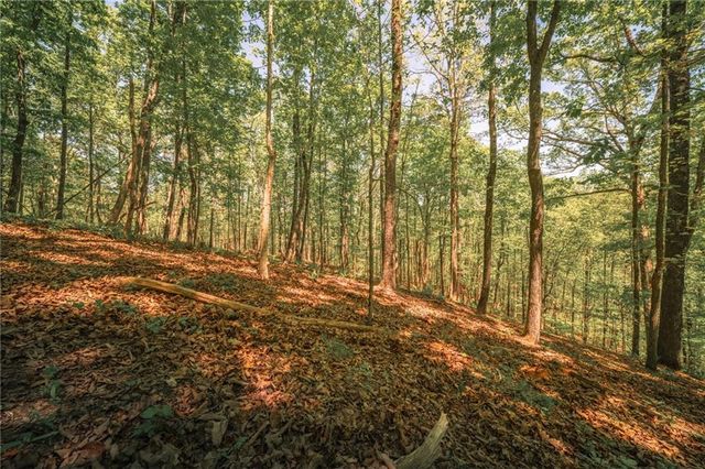 00 Hancock Mountain Trl, Waleska, GA 30183