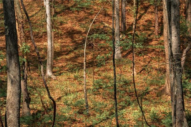 00 Hancock Mountain Trl, Waleska, GA 30183