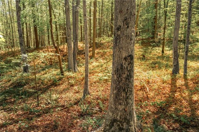 00 Hancock Mountain Trl, Waleska, GA 30183