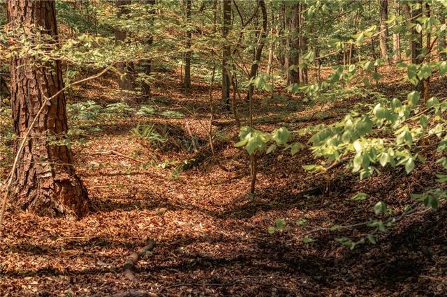 00 Hancock Mountain Trl, Waleska, GA 30183