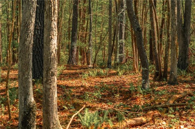00 Hancock Mountain Trl, Waleska, GA 30183