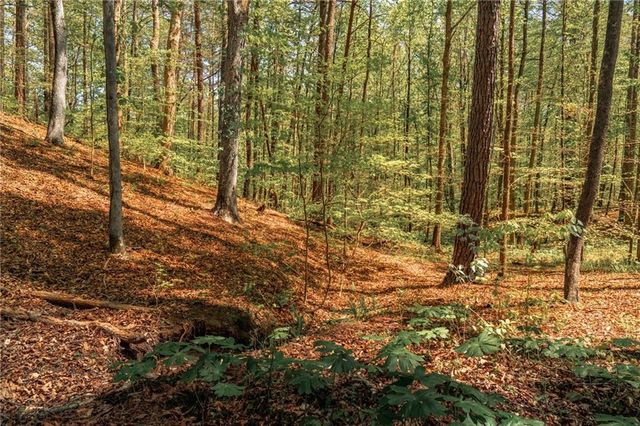 00 Hancock Mountain Trl, Waleska, GA 30183