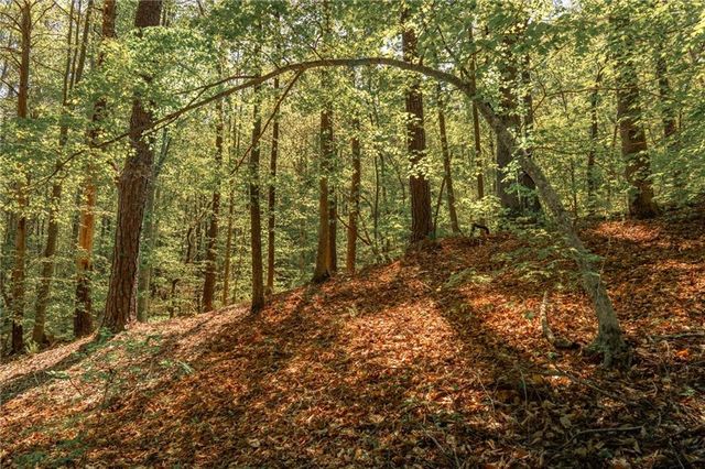 00 Hancock Mountain Trl, Waleska, GA 30183