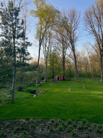 6609 Rix Street Se, Ada Twp, MI 49301