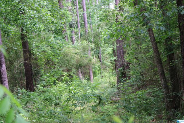 0 WOOTEN ROAD, Alabaster, AL 35007