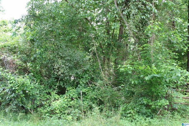 0 WOOTEN ROAD, Alabaster, AL 35007