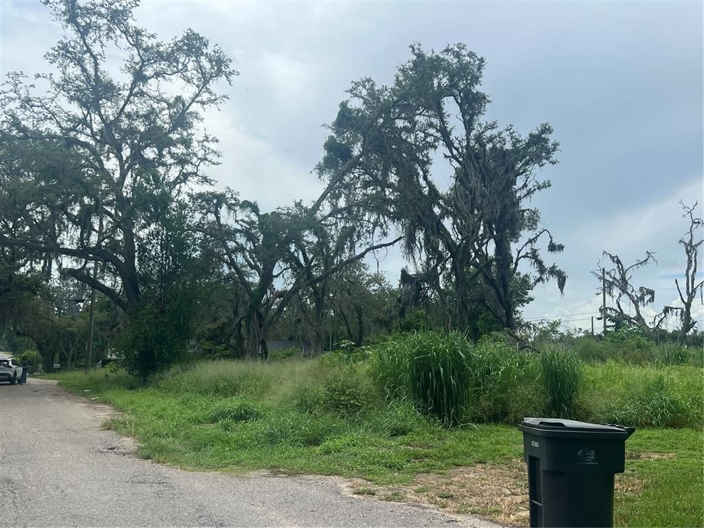 9323 RIPLEY ROAD B, Thonotosassa, FL 33592