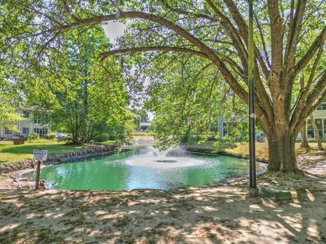 2314 Treescape Drive Unit 2405, Charleston, SC 29414