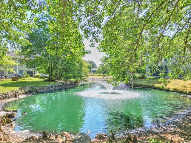 2314 Treescape Drive Unit 2405, Charleston, SC 29414