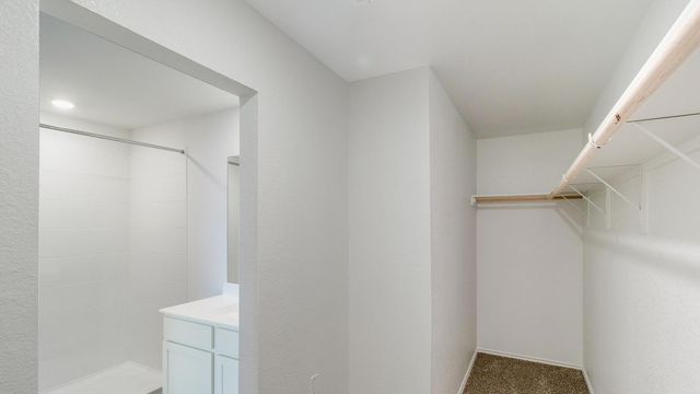 110 Schuenemann WAY, Kyle, TX 78640