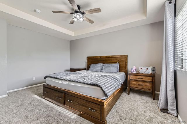 5505 Echo Hollow Street, Castle Rock, CO 80104