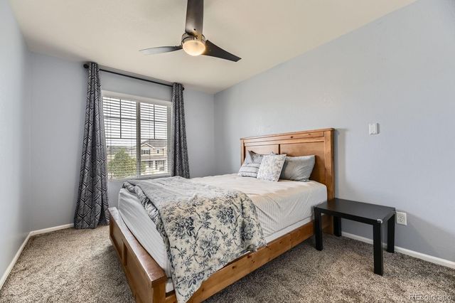 5505 Echo Hollow Street, Castle Rock, CO 80104