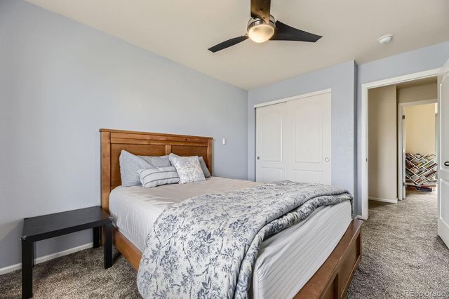 5505 Echo Hollow Street, Castle Rock, CO 80104