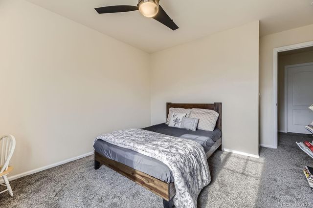 5505 Echo Hollow Street, Castle Rock, CO 80104