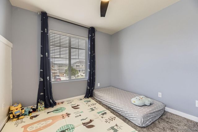 5505 Echo Hollow Street, Castle Rock, CO 80104