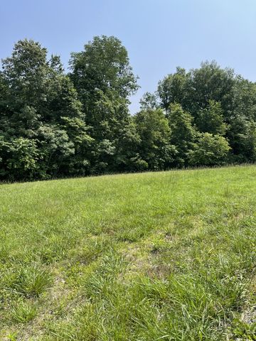 7908 Daugherty Capley Rd, Primm Springs, TN 38476