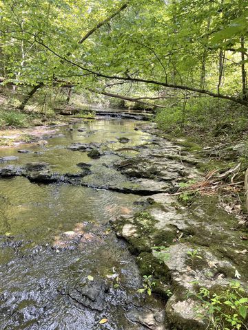 7908 Daugherty Capley Rd, Primm Springs, TN 38476