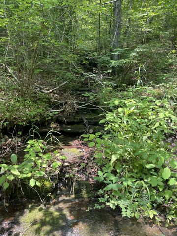 7908 Daugherty Capley Rd, Primm Springs, TN 38476