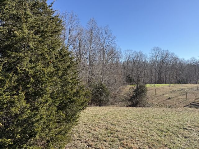 7908 Daugherty Capley Rd, Primm Springs, TN 38476