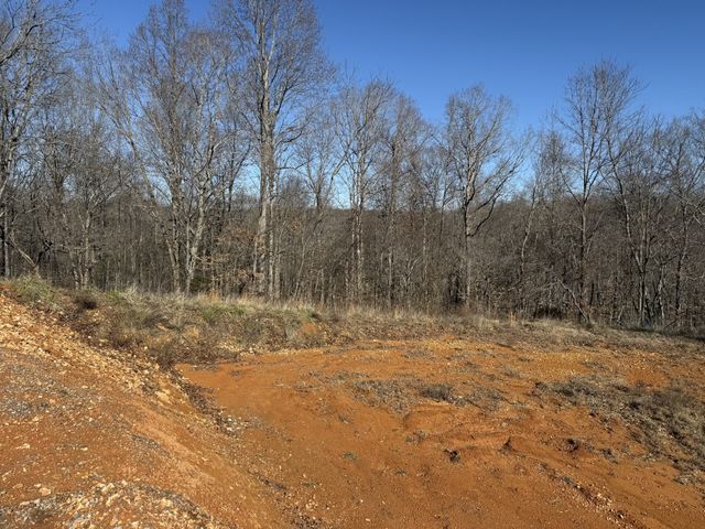 7908 Daugherty Capley Rd, Primm Springs, TN 38476