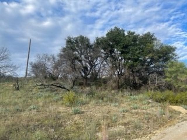 TBD Newcastle Drive, Brownwood, TX 76801